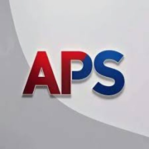 cropped-aps.jpg andy peps studio brand logo